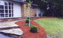 Garden After