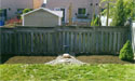 Garden After