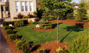 Front Garden Design