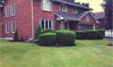 Lawn and Garden Maintenance