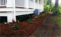 Porch Garden